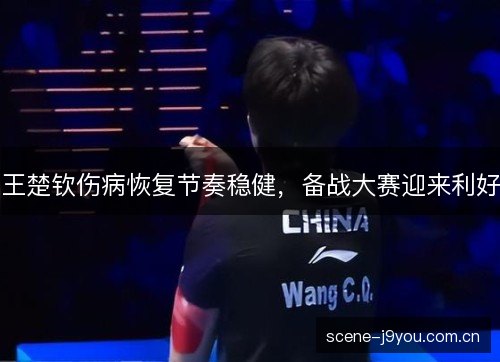 王楚钦伤病恢复节奏稳健,备战大赛迎来利好 王楚钦伤病恢复节奏稳健,备战大赛迎来利好